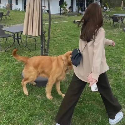 孤苦盲女阿玲